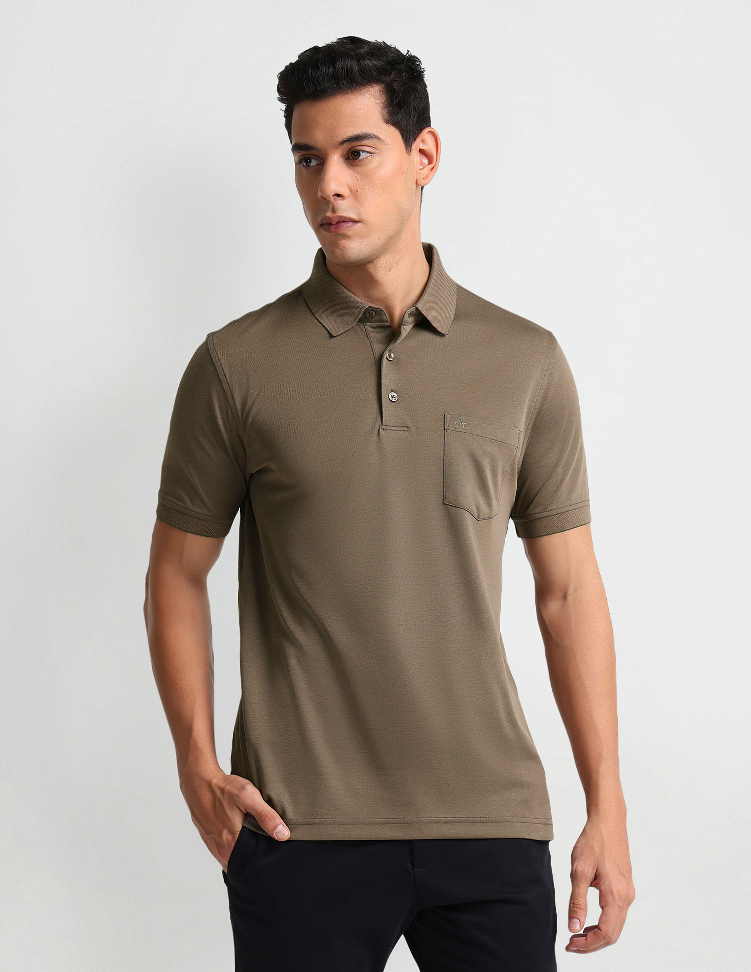 Arrow Regular Fit Solid Polo Shirt