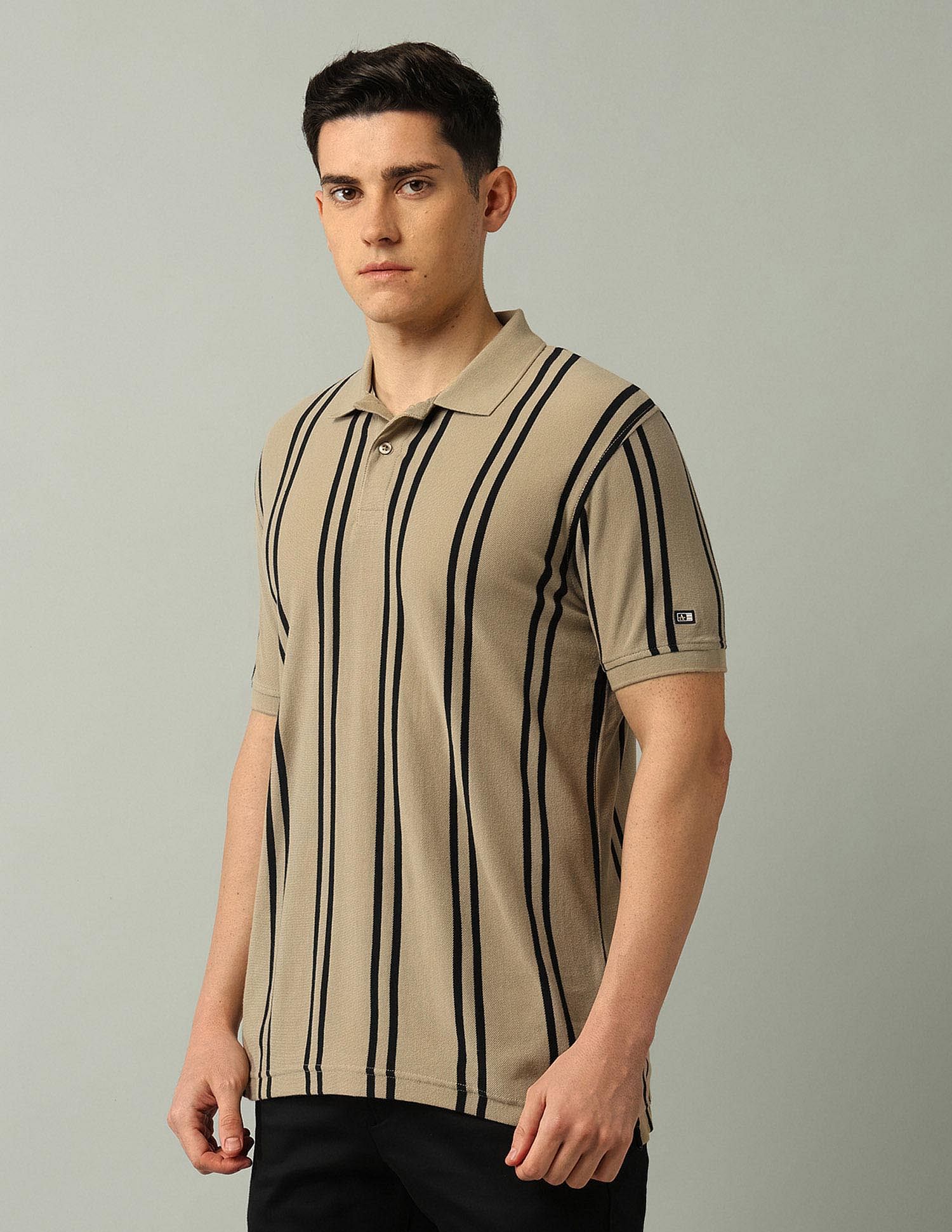 Arrow Sport Vertical Striped Pure Cotton Polo Shirt