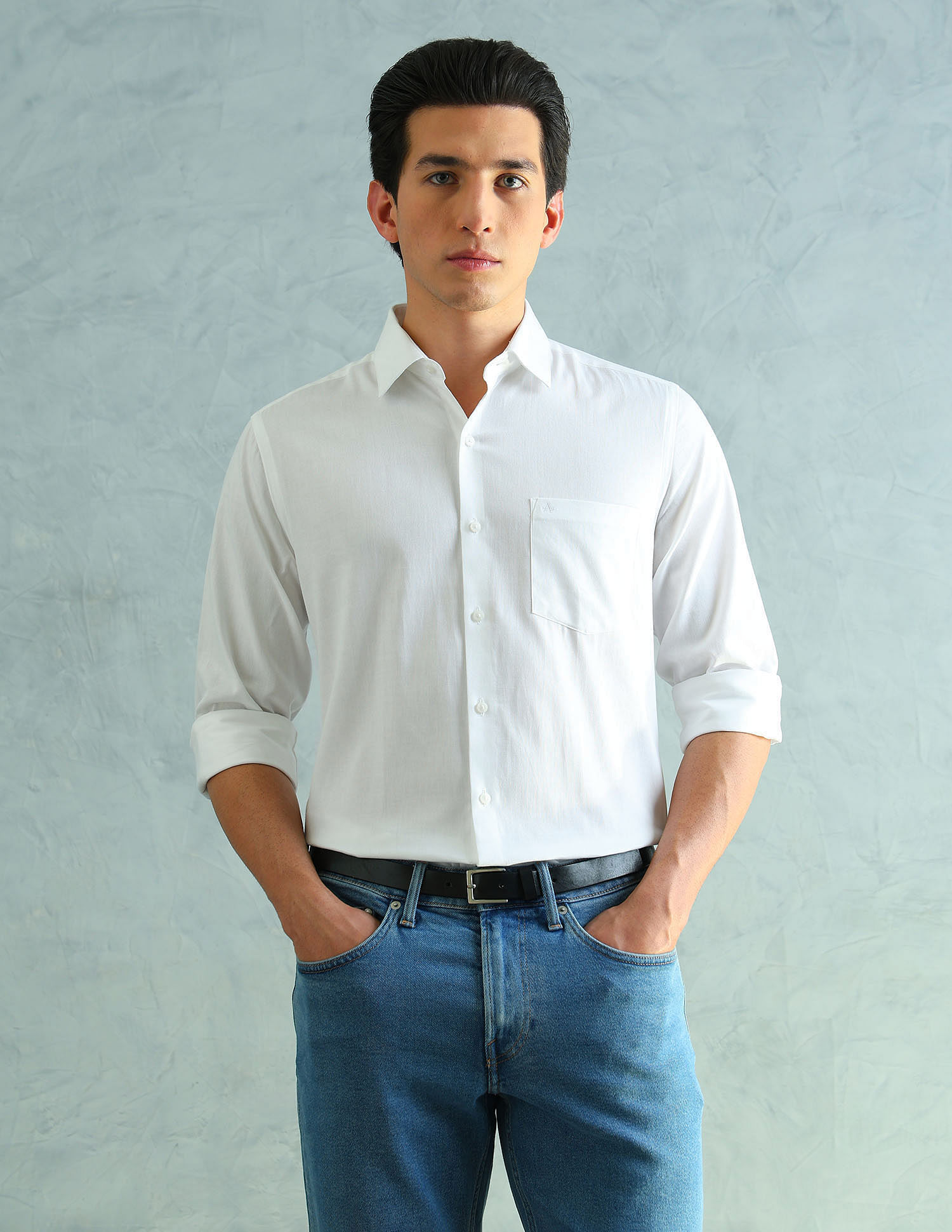 Arrow Full sleeves Slim Fit Smart Formal Shirt