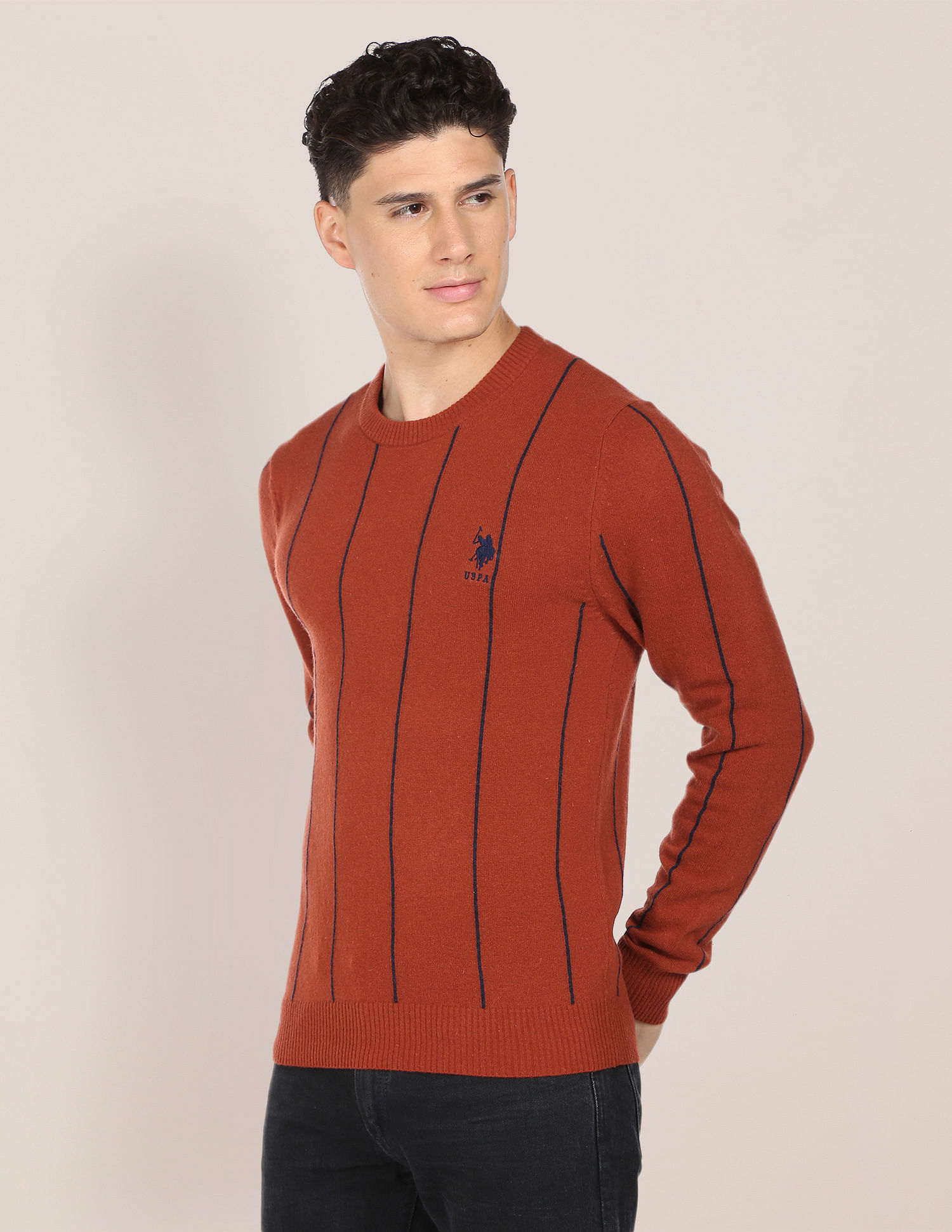 U.S. Polo Assn. Crew Neck Vertical Stripe Sweater