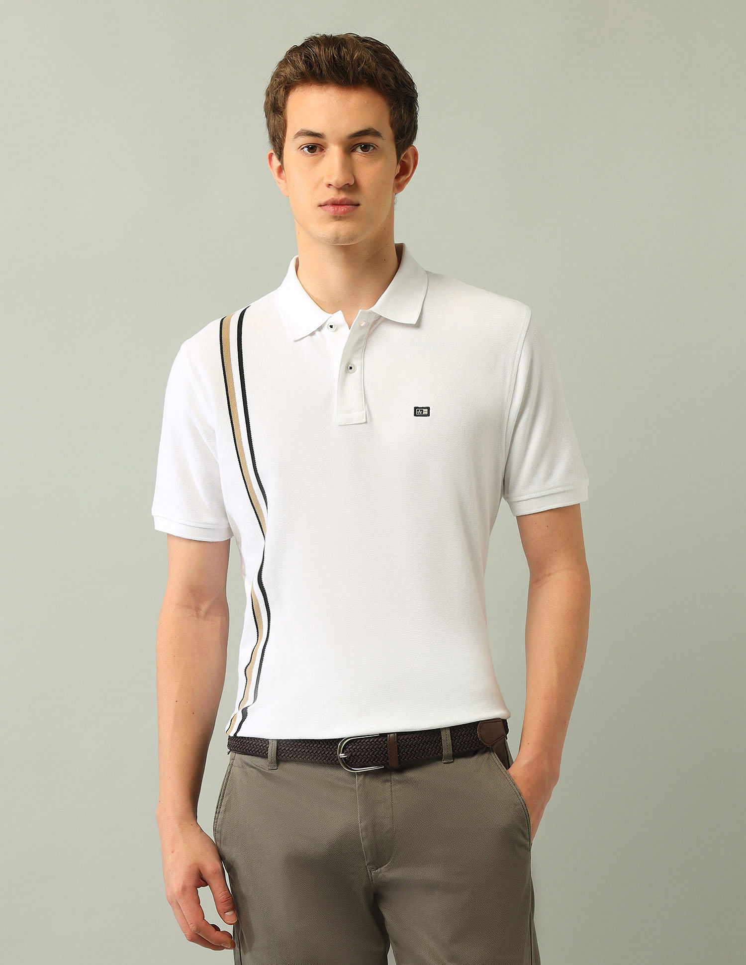 Arrow Sport Vertical Striped Regular Fit Polo Shirt