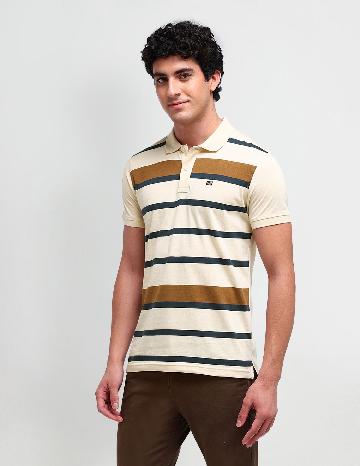 Arrow Sport Horizontal Striped Regular Polo Shirt