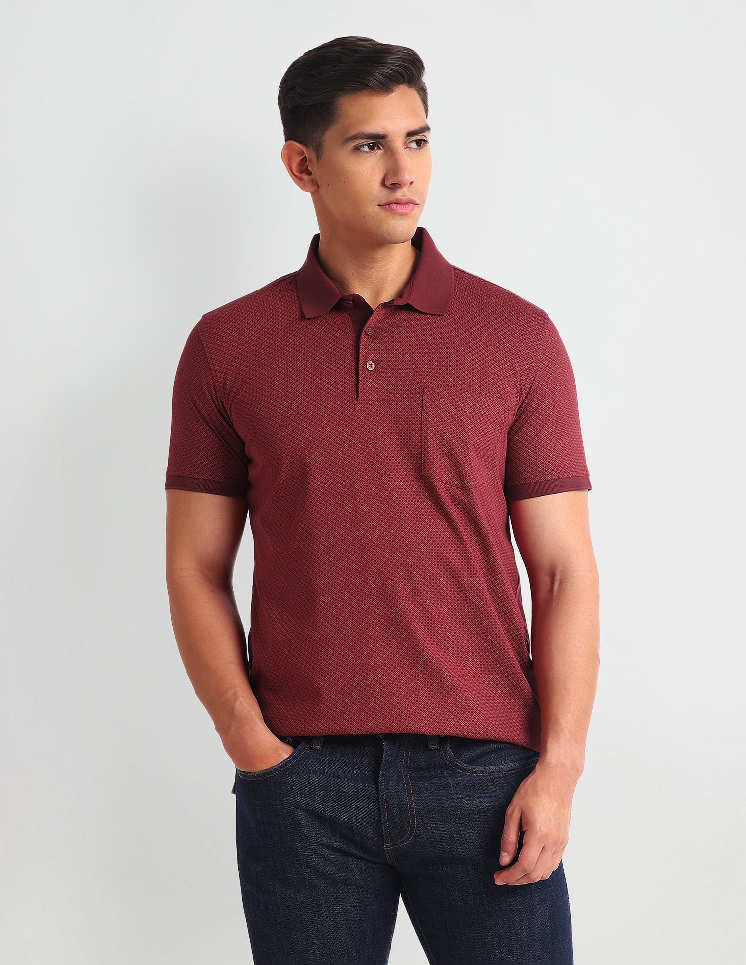 Arrow Regular Fit Cotton Polo Shirt