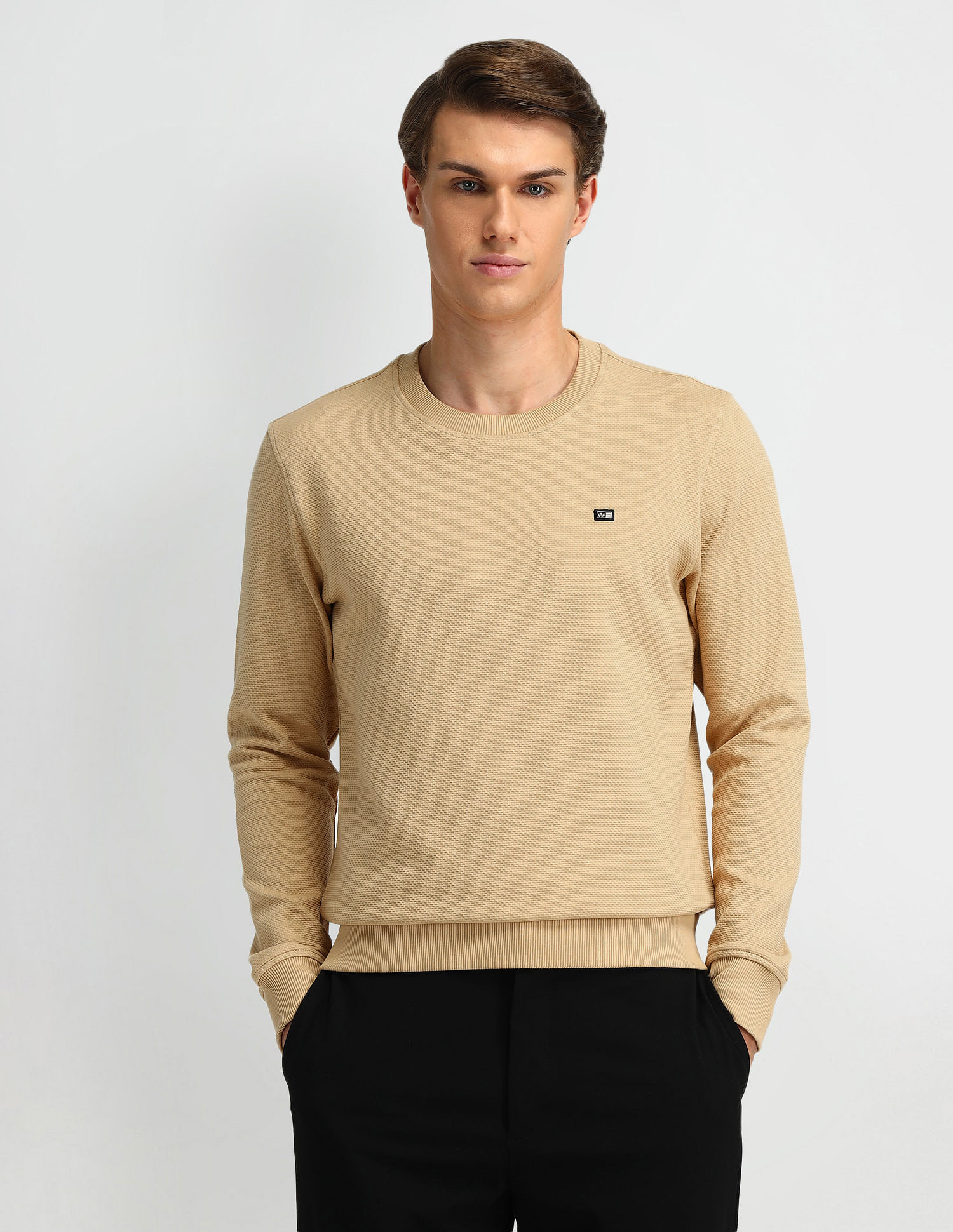 Arrow Sport Textured Regular Fit Sweatshirt