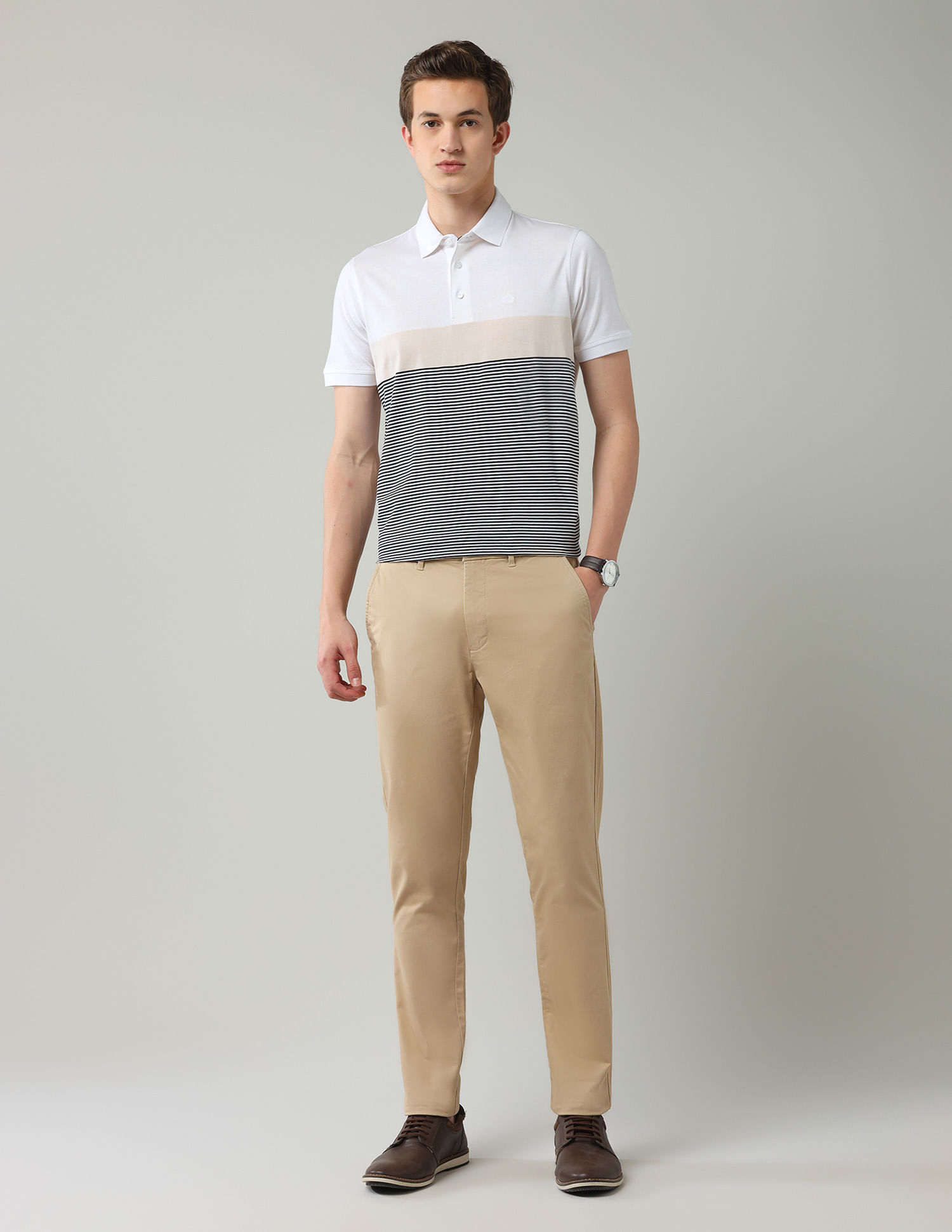 Arrow Horizontal Striped Regular Fit Polo Shirt