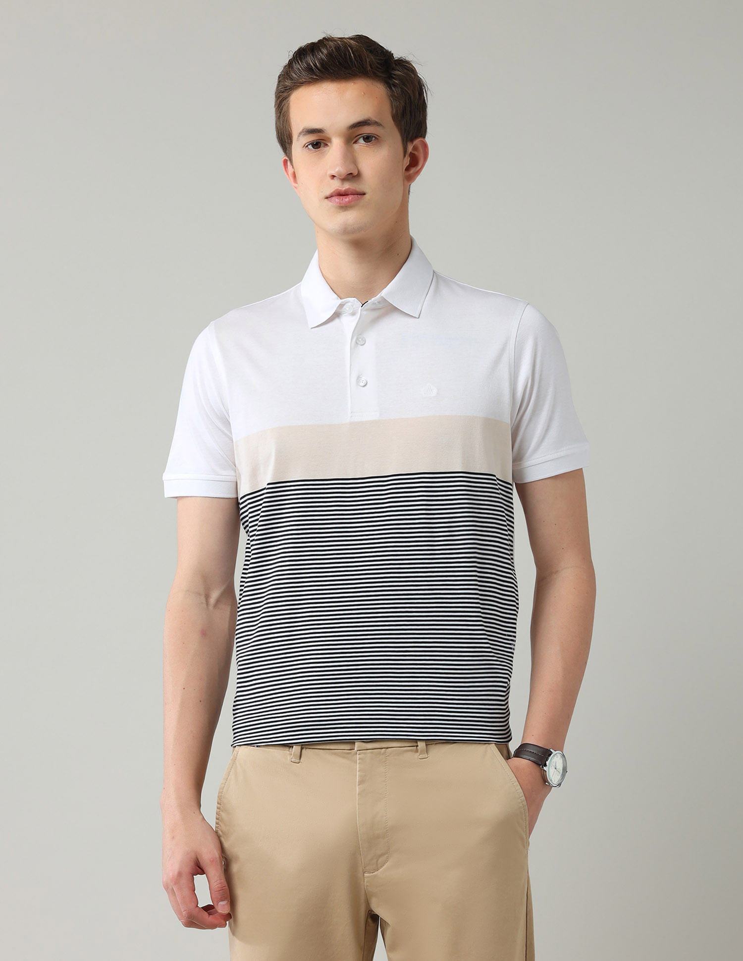 Arrow Horizontal Striped Regular Fit Polo Shirt