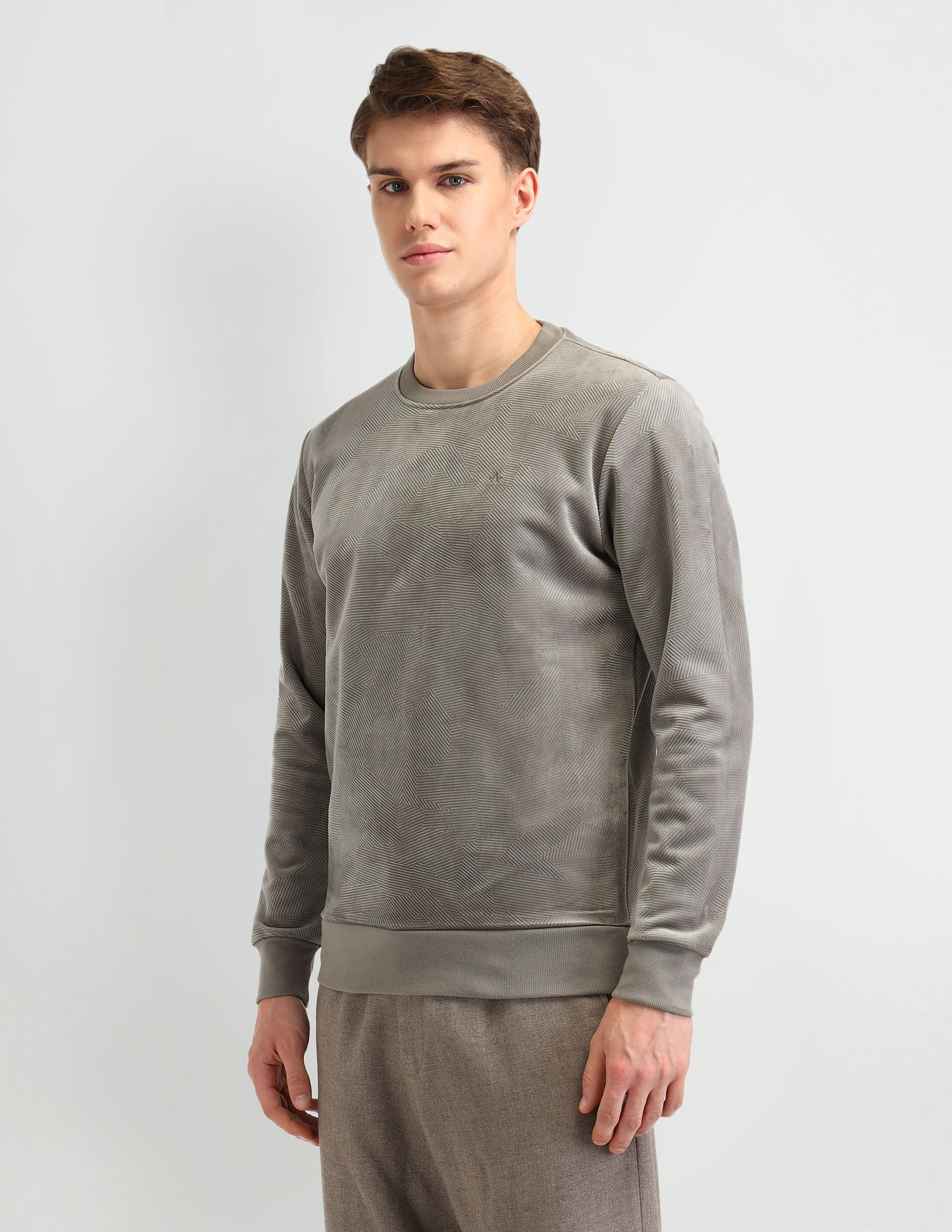 Arrow Textured Regular Fit Sweatshirt