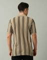 Arrow Sport Vertical Striped Pure Cotton Polo Shirt