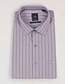 Arrow Vertical Striped Liberty Classic Fit Shirt