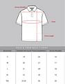 AD by Arvind Contrast Sleeve Sporty Polo Shirt