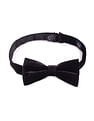 Arrow Men Pre Tied Solid Bow Tie