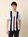 U.S. Polo Assn. Vertical Striped Classic Polo Shirt