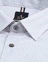 Arrow Newyork Brooklyn Fit Pinstriped Shirt
