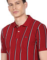 Arrow Sports Vertical Stripe Cotton Polo Shirt