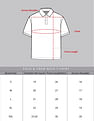 AD by Arvind Colour Block Sporty Polo Shirt