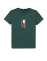 Tommy Hilfiger Kids Boys Flag Embroidered Regular T-Shirt