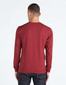 Flying Machine Brand Print Cotton Sweatshirt