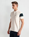 Arrow Sports Horizontal Stripe Pique Polo Shirt