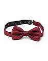 Arrow Men Pre Tied Jacquard Bow
