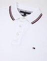 Tommy Hilfiger Solid Regular-Fit Cotton Polo Shirt